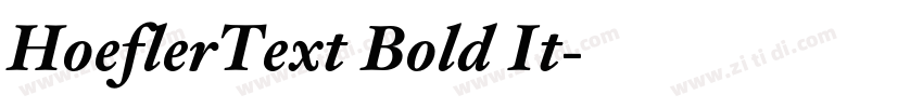 HoeflerText Bold It字体转换